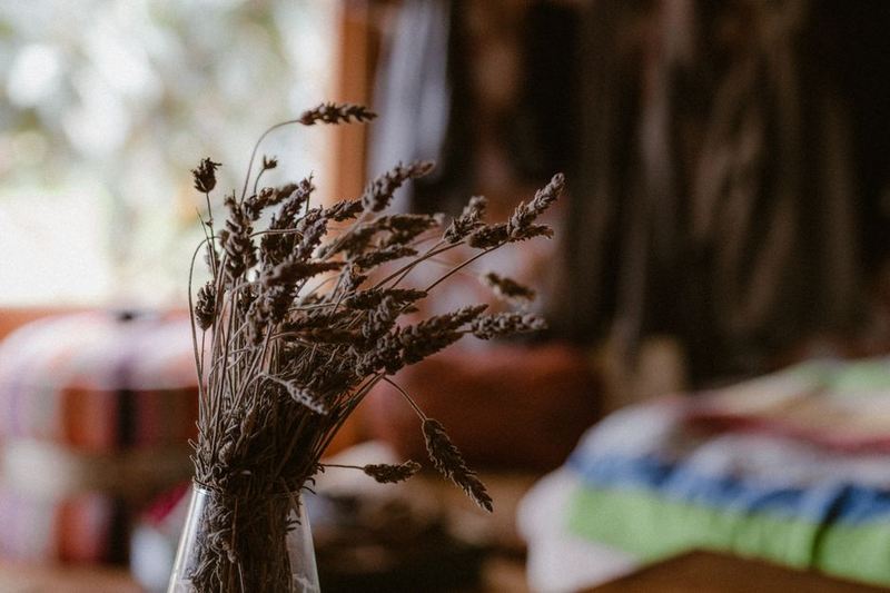 Dried Lavender Bundle